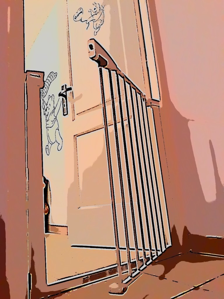 Brico Pessac - Barrière de sécurité - Chambre